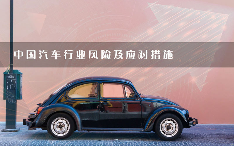 中國(country)汽車行業風險及應對措施.jpg